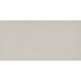 Fusion Chalk Porcelain Wall and Floor Tile - 12 x 24 in.