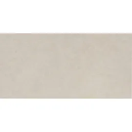 Clay Porcelain Wall and Floor Tile - 12 x 24 in.