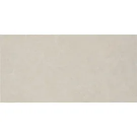 Clay Porcelain Wall and Floor Tile - 12 x 24 in.