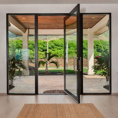 Custom Made Iron Frame Pivot Door With Full Clear Glass